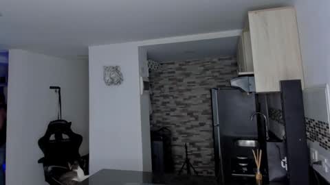 INSTAGRAM  DAMMIANMILLEROFICIAL online show from February 19, 2026, 12:45 pm