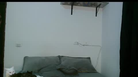 Dan and Noah online show from March 5, 2025, 12:27 am