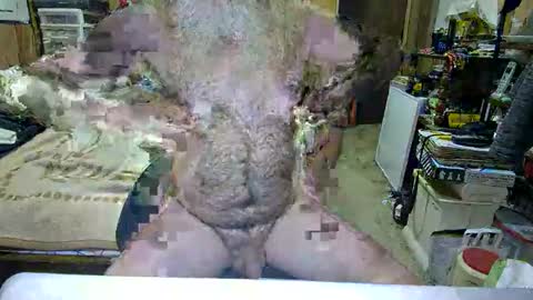 Dana online show from October 29, 2025, 4:42 pm