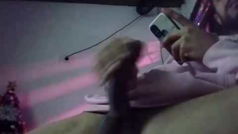 Snapshot of dani9821569006 chatting on December 19, 2024, 7:51 am dani9821569006 online show from December 19, 2024, 7:51 am