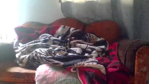 Snapshot of dani9821569006 chatting on March 25, 2026, 5:08 pm dani9821569006 online show from March 25, 2026, 5:08 pm