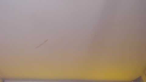 Snapshot of dania_b_ chatting on November 5, 2025, 3:06 am dania_b_ online show from November 5, 2025, 3:06 am