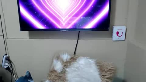 Snapshot of danica_wild chatting on December 15, 2025, 3:44 am Danica online show from December 15, 2025, 3:44 am