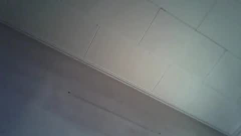 danicrss8 online show from April 4, 2026, 8:28 pm