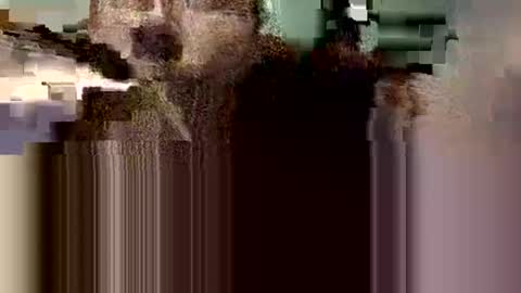 danieldayz online show from October 9, 2025, 8:34 am