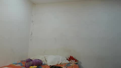 danielitopapii online show from November 12, 2025, 3:40 am