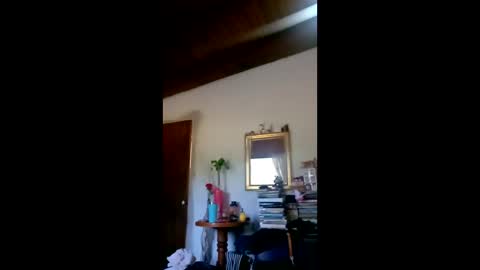 Snapshot of danielledelrey chatting on February 3, 2026, 12:21 pm danielledelrey online show from February 3, 2026, 12:21 pm