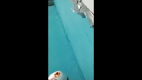 Snapshot of danipas_30 chatting on February 12, 2026, 5:57 am danipas_30 online show from February 12, 2026, 5:57 am