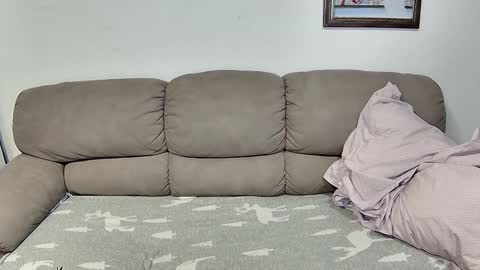 HilmarZ online show from November 17, 2025, 2:45 pm