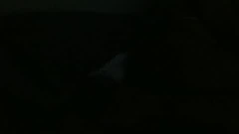 Snapshot of dannithefucksuperstar chatting on December 24, 2024, 12:00 pm Dee online show from December 24, 2024, 12:00 pm