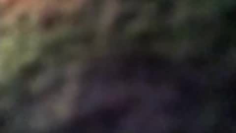 dannowisc online show from April 8, 2026, 2:55 am