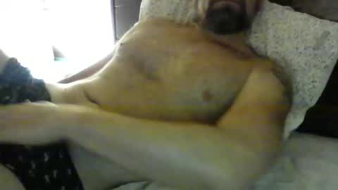 danroof2023 online show from January 30, 2025, 11:11 am