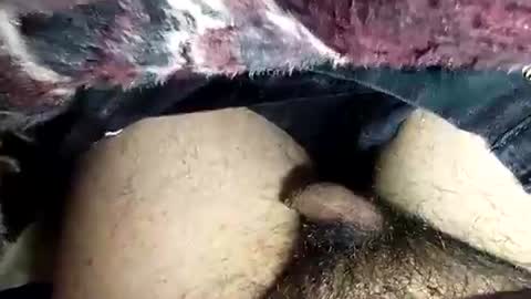 dansweetie_20 online show from February 12, 2026, 10:27 pm