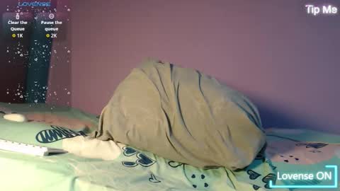 dante_bear online show from November 27, 2025, 2:24 am