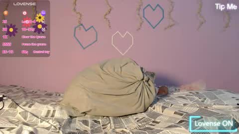 Snapshot of dante_bear chatting on February 13, 2026, 11:17 am dante_bear online show from February 13, 2026, 11:17 am