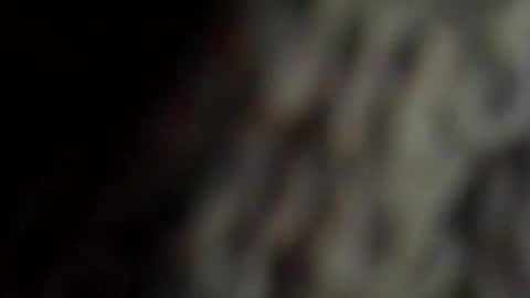 danys69 online show from October 11, 2025, 8:18 pm