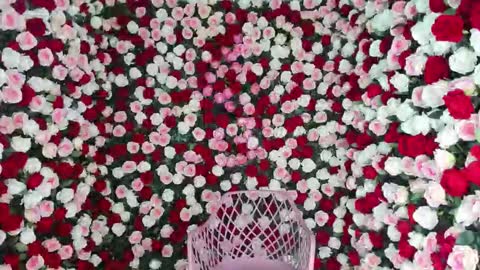 dara_johnson online show from September 14, 2025, 12:59 pm