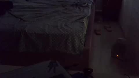 darishechka online show from November 15, 2025, 8:11 am