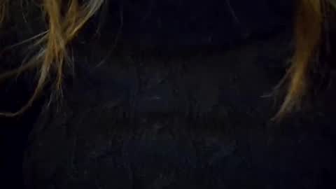 darishechka online show from November 23, 2025, 9:36 pm