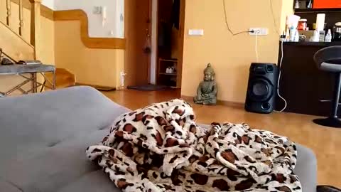 dxd69 online show from April 22, 2026, 2:40 pm