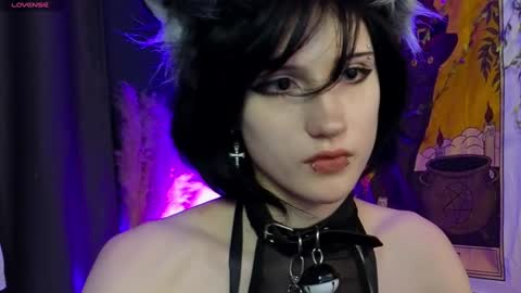 Vamp  online show from December 5, 2024, 12:08 am