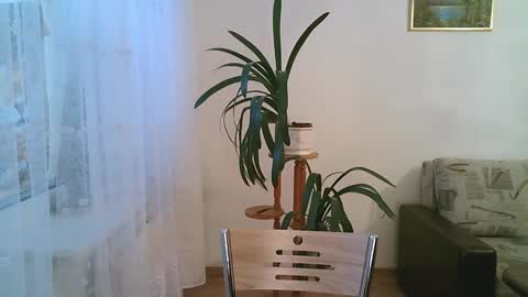 Snapshot of dartanjanas chatting on December 1, 2025, 11:15 am Dario online show from December 1, 2025, 11:15 am