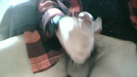 Dartrok online show from February 17, 2025, 12:59 pm