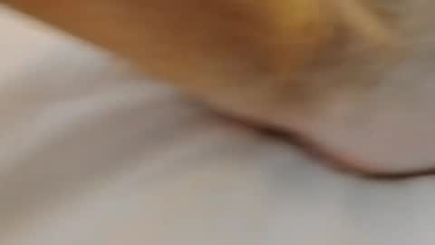 Snapshot of david1982yesyes chatting on March 2, 2026, 2:02 pm david1982yesyes online show from March 2, 2026, 2:02 pm