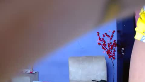 Snapshot of david778302 chatting on September 13, 2025, 4:56 am Noha online show from September 13, 2025, 4:56 am