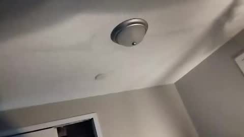 Snapshot of david_stone1969 chatting on January 25, 2025, 4:46 pm david_stone1969 online show from January 25, 2025, 4:46 pm