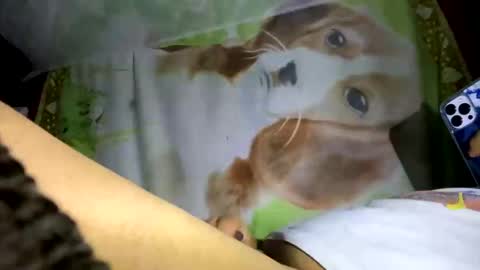 davzsoher online show from January 10, 2025, 2:04 am