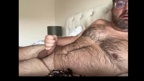 db197860693 online show from October 9, 2025, 11:08 am