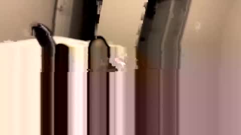 dbikes182 online show from January 3, 2025, 9:58 am