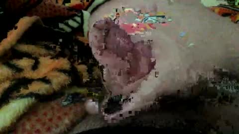 dboy606d online show from November 8, 2025, 8:07 pm