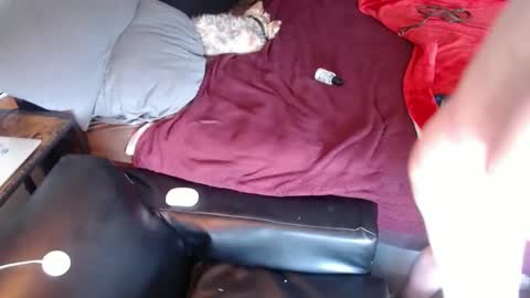 DCTeamFucker online show from April 17, 2026, 5:49 pm