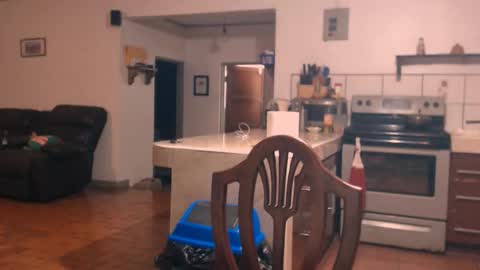 Snapshot of debbie_n_paul chatting on November 22, 2025, 5:28 am Paul Fitz online show from November 22, 2025, 5:28 am