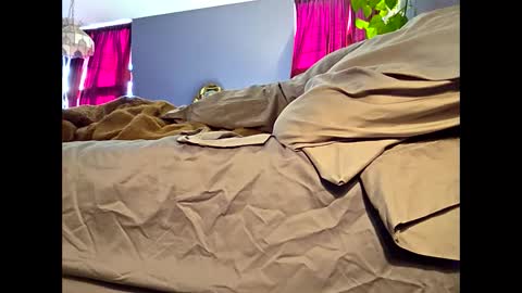 Snapshot of definitelymasterbating chatting on March 17, 2026, 2:42 pm definitelymasterbating online show from March 17, 2026, 2:42 pm