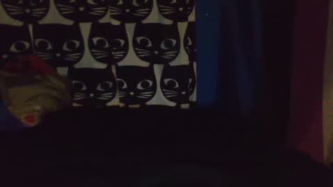 CozyClementine online show from April 9, 2026, 8:09 am