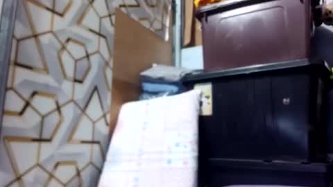 Snapshot of deliciousgirl975840 chatting on June 1, 2026, 7:15 pm deliciousgirl975840 online show from June 1, 2026, 7:15 pm