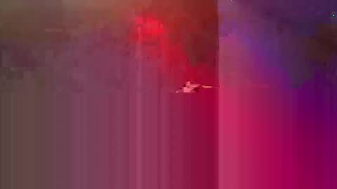 Snapshot of den2807 chatting on May 3, 2026, 10:49 pm den2807 online show from May 3, 2026, 10:49 pm