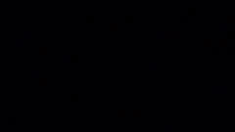 LilRoach online show from January 13, 2025, 2:32 pm