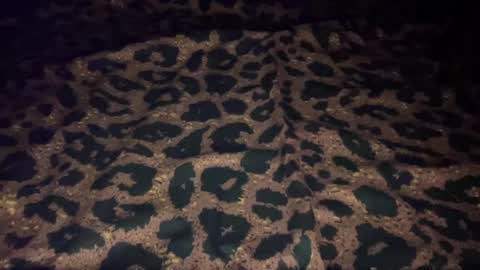 Snapshot of derek829099 chatting on October 9, 2025, 7:06 am derek829099 online show from October 9, 2025, 7:06 am