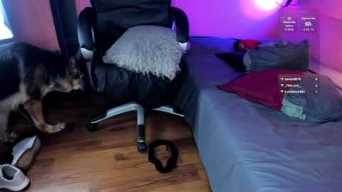 Snapshot of desi_latin chatting on April 24, 2026, 9:06 pm NTMY guys im a kinda desi from Medellin online show from April 24, 2026, 9:06 pm