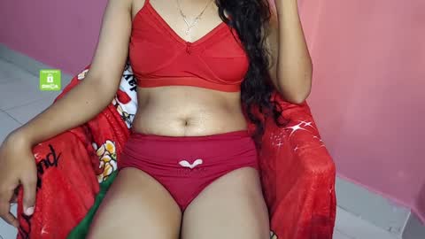 Snapshot of desicoupleshow chatting on December 25, 2024, 9:13 am Eva and Adam online show from December 25, 2024, 9:13 am