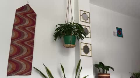 Desidias online show from October 22, 2025, 9:03 pm