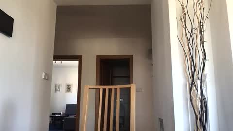 desirtexz online show from April 25, 2026, 8:06 am