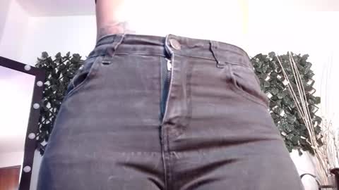 Snapshot of destinyhills_ chatting on February 11, 2025, 12:05 pm Destiny online show from February 11, 2025, 12:05 pm