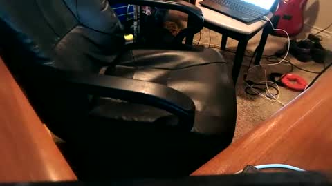 Snapshot of dfwgonewrong chatting on December 25, 2024, 3:50 am dfwgonewrong online show from December 25, 2024, 3:50 am