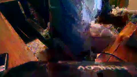 Snapshot of dfwgonewrong chatting on February 13, 2025, 10:23 am dfwgonewrong online show from February 13, 2025, 10:23 am