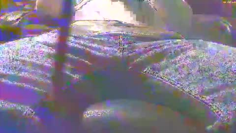 Snapshot of dfwgonewrong chatting on November 3, 2025, 4:47 am dfwgonewrong online show from November 3, 2025, 4:47 am